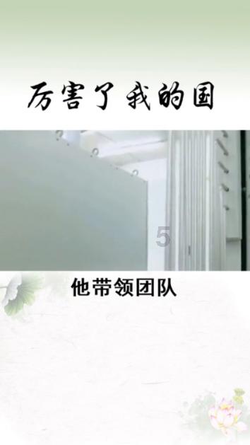 美人鱼游玩