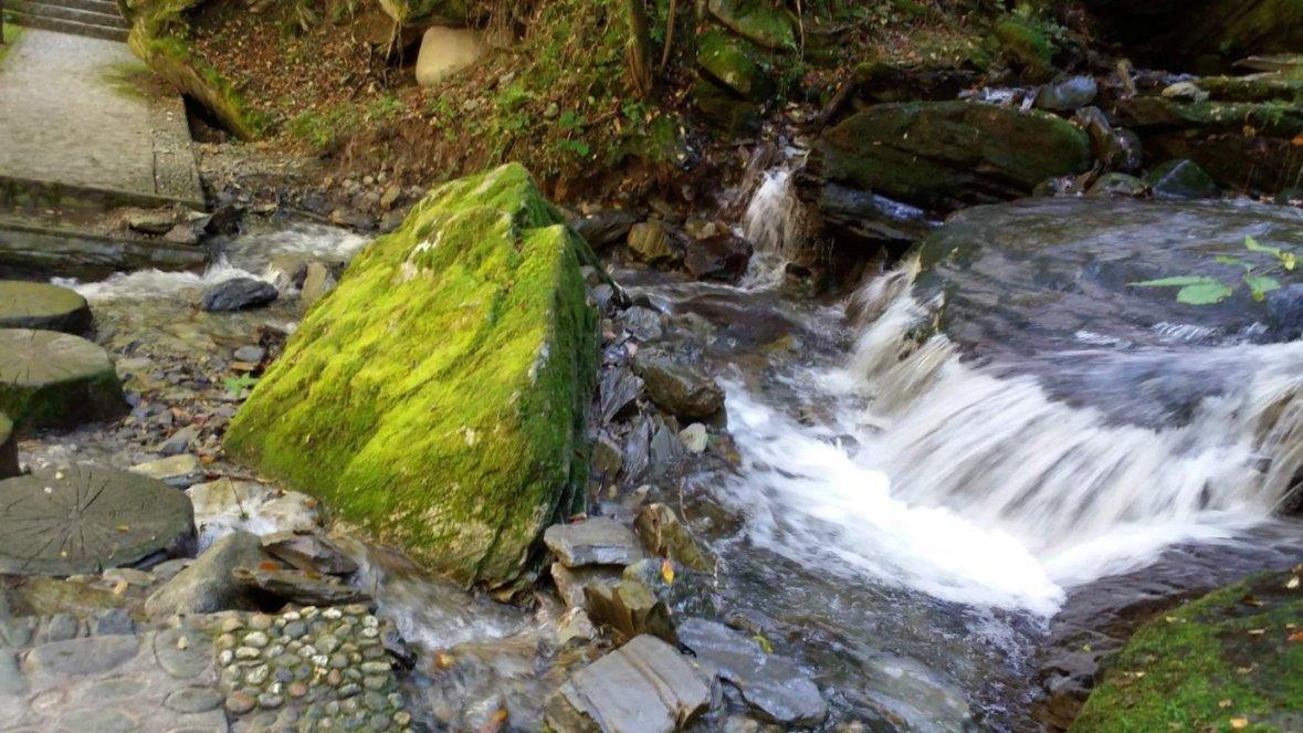 港股全线走强,网易-S领涨,低费率恒生科技ETF基金(513260)盘中大涨超3%